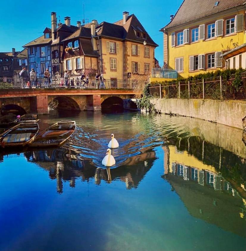 Maison 1708 - Rue Du Canard - City Center Colmar Luaran gambar